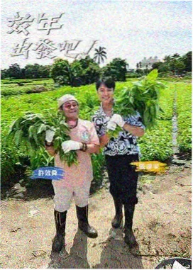 飘花资讯